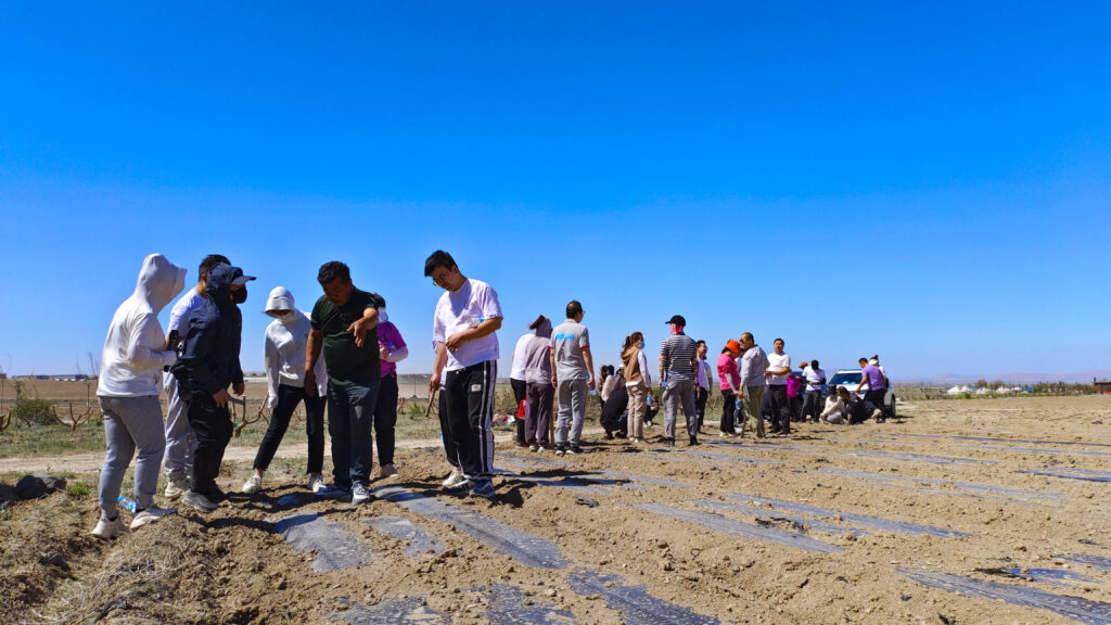 走进田园 播种希望|热博rb88物流春种团建活动
