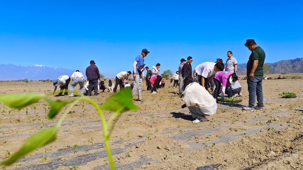 走进田园 播种希望|热博rb88物流春种团建活动